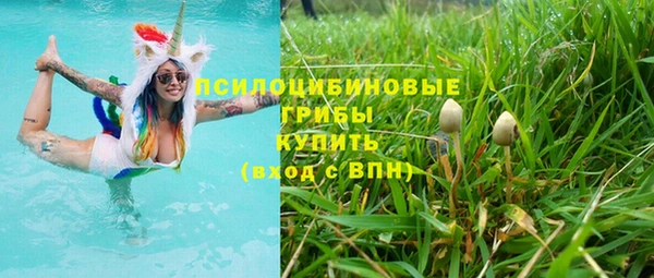 мдпв Бронницы